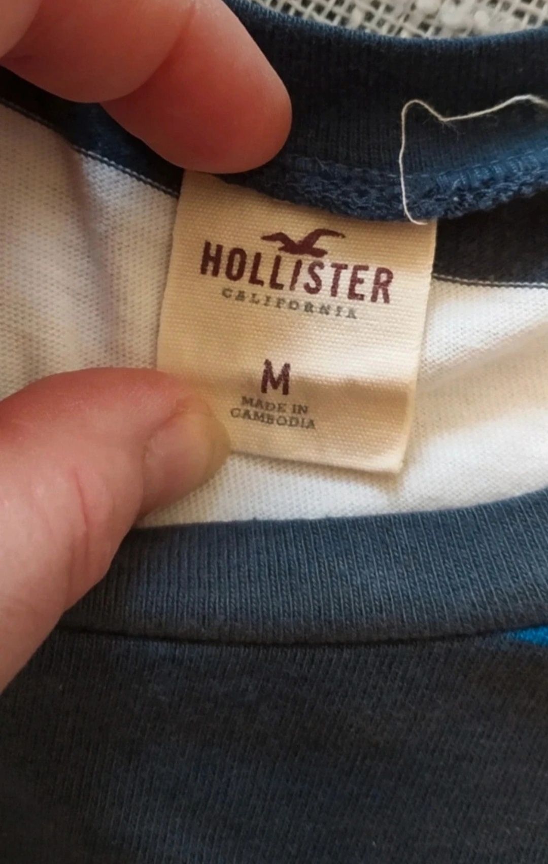 T shirt Hollister