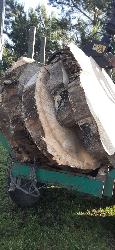 Topola lipa plastry plaster blat stolik