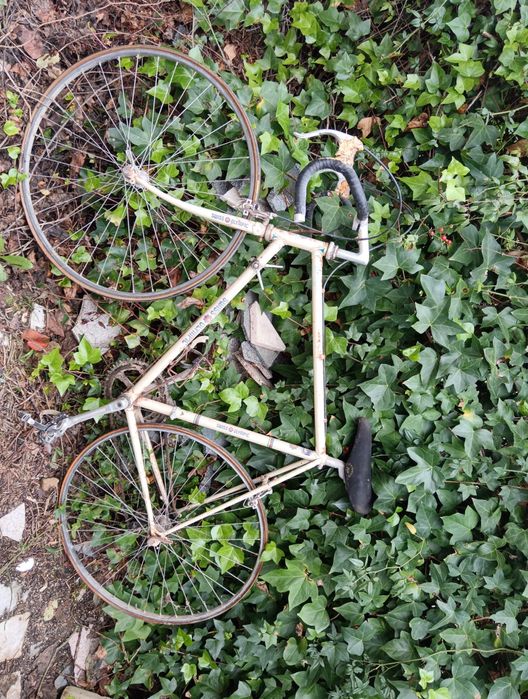 Bicicleta Los Angeles – Swiss Olympic