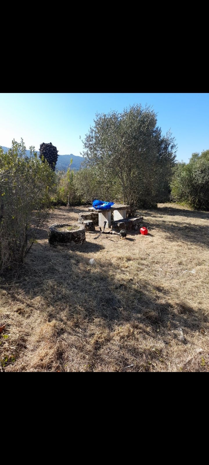 Limpeza de terrenos