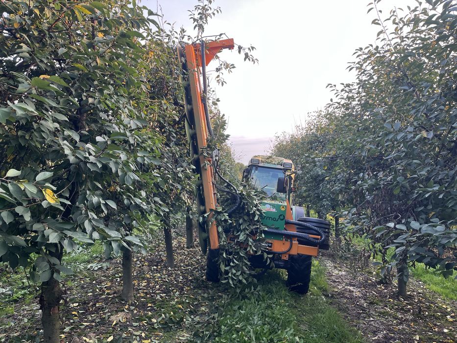 Cięcie konturowe sadów, mechaniczne piłami CAŁA POLSKA