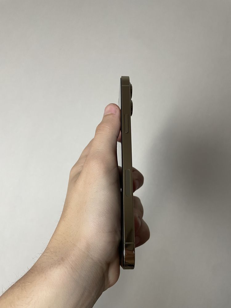 iPhone 12 Pro Max 256 GB NeverLock