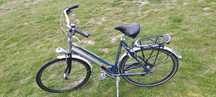 Rower Damka Gazelle 28