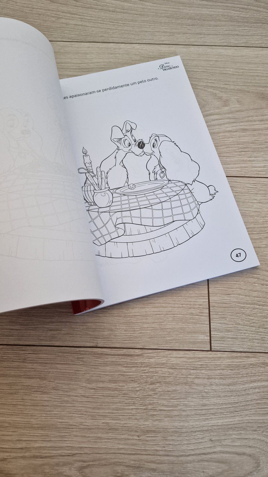 Livro Megacolorir Animais da Disney_NOVO