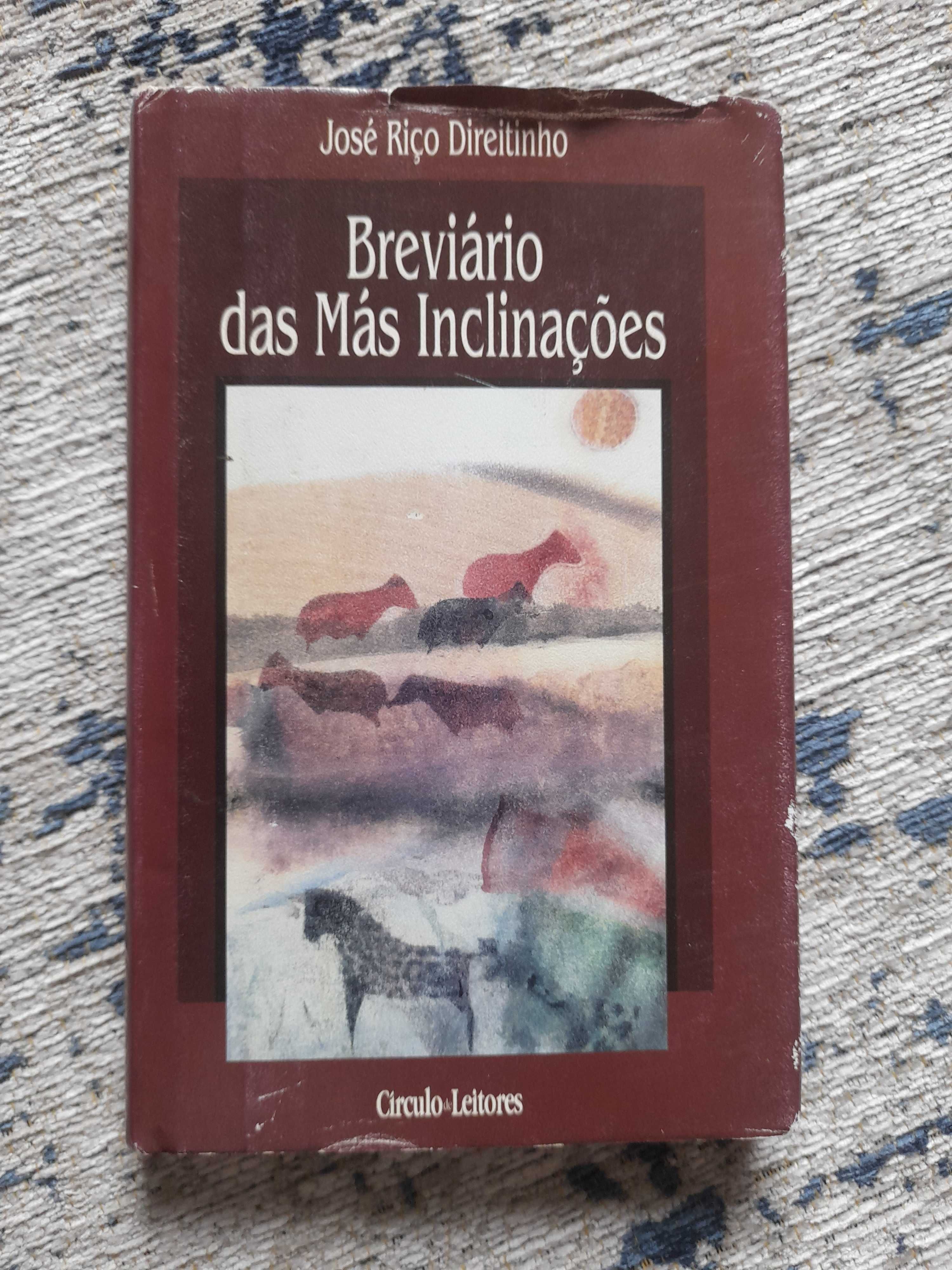 Breviário das Más Inclinações, José Riço Direitinho