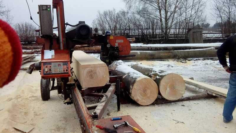 Piły taśmowe do drewna, części zamienne ostrzenie - Wood Mizer Koronet