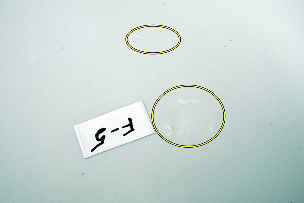 Stół cateringowy BALI składany w walizkę 180 cm ogrodowy bankietowy