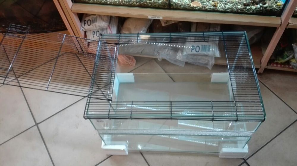 Akwaterrarium dla żółwia wodnego