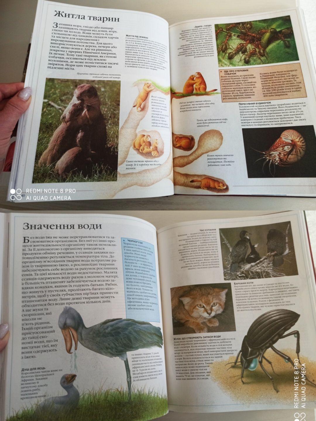 Великі ілюстровані енциклопедії для дітей