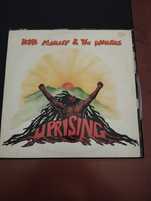 Disco Vinil Bob Marley