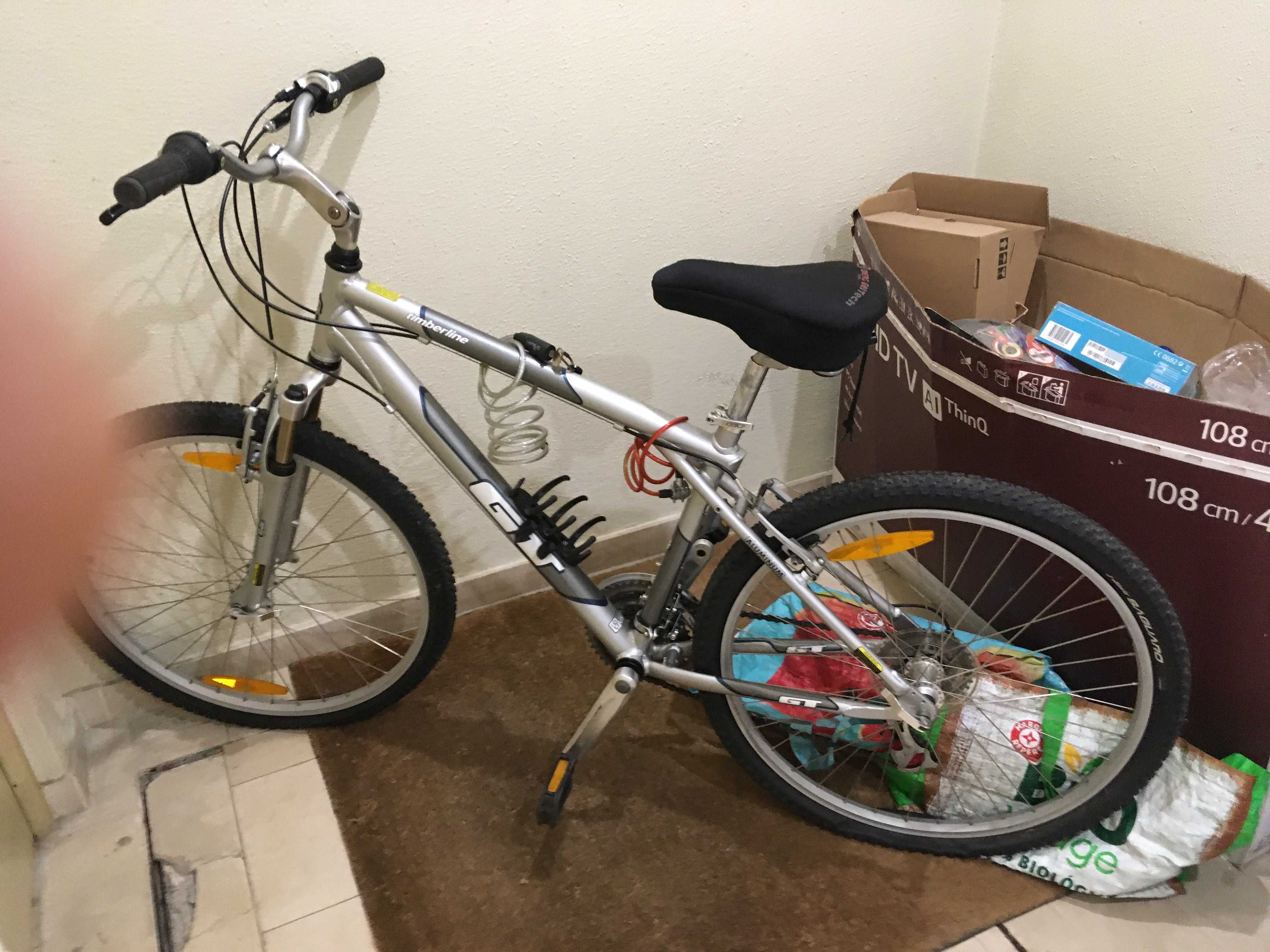 Vendo so uma  ou as duas impecáveis marca GT e TREK por 100€ cada