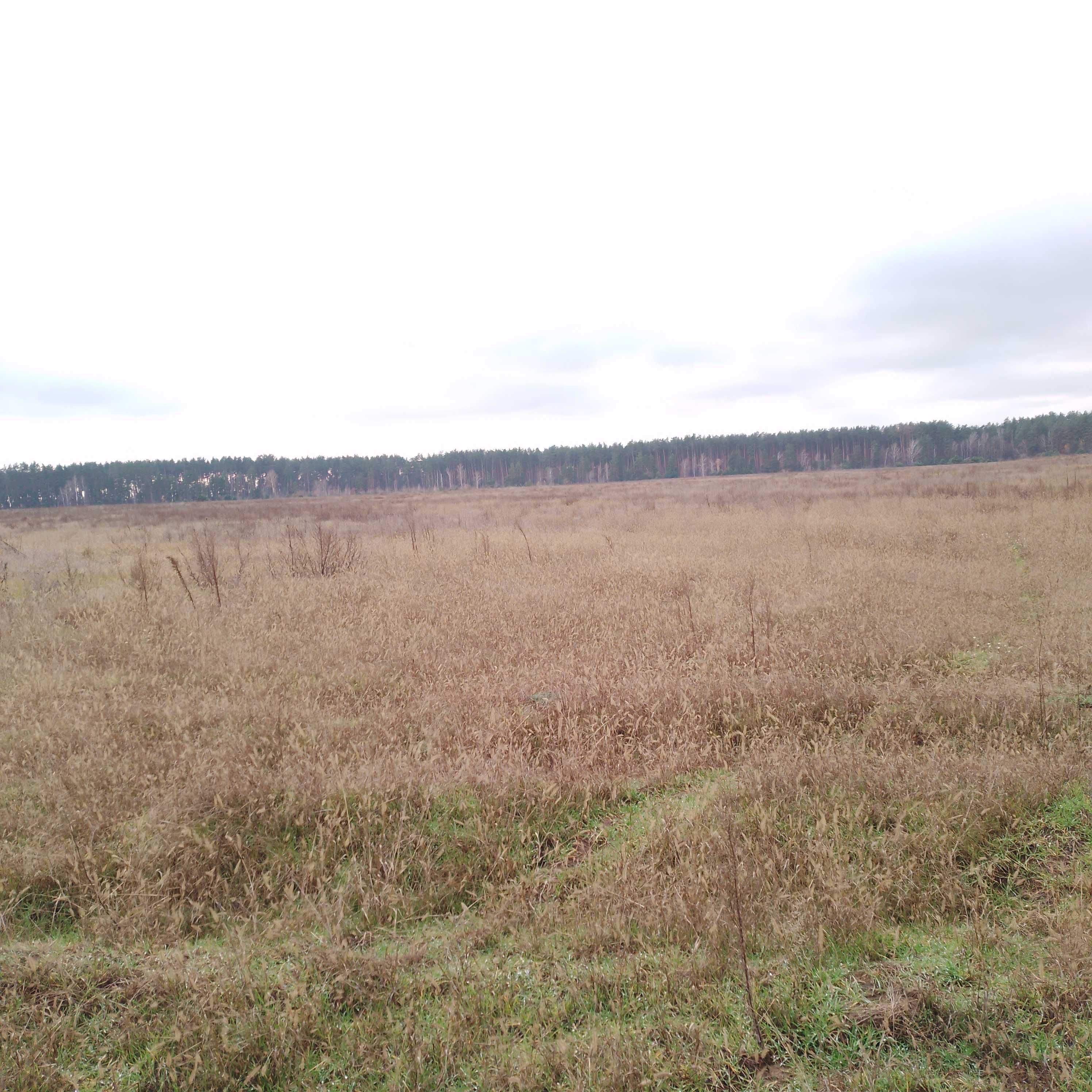 Продам земельну ділянку під забудову в Гаврилівці Бучанського району.