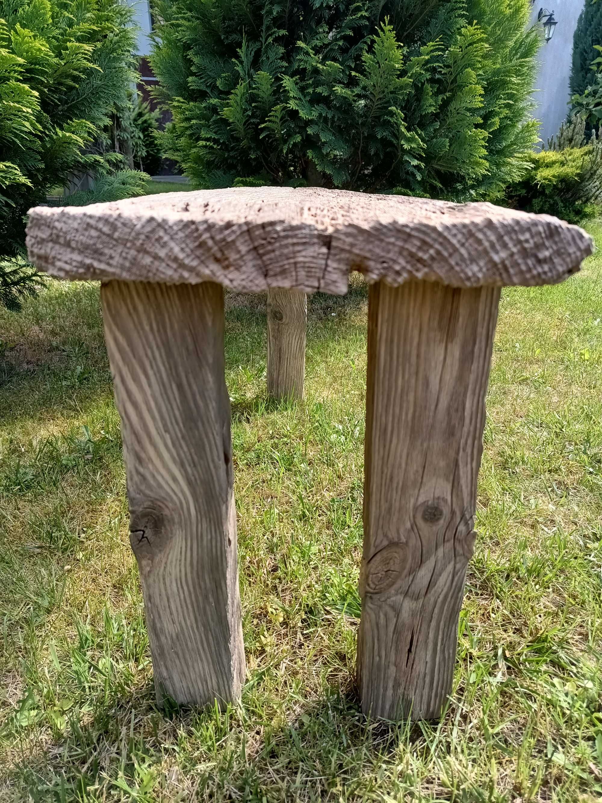 Stolik kawowy, nocny, driftwood