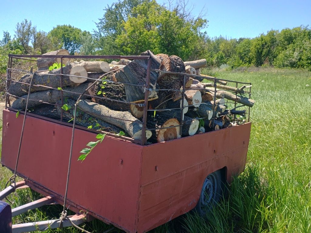 Продам дрова різних порід