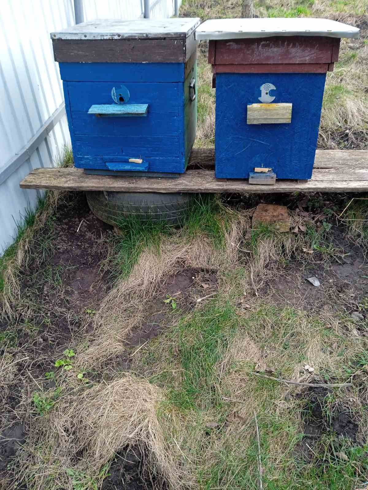 Міні вулики на рамку Дадан, для розведення бджіл, відводків.