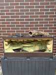 Terrarium 100cm dla jaszczurki kameleona agamy brodatej