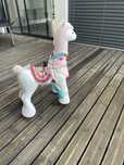 My lovely Llama - usado sempre no interior