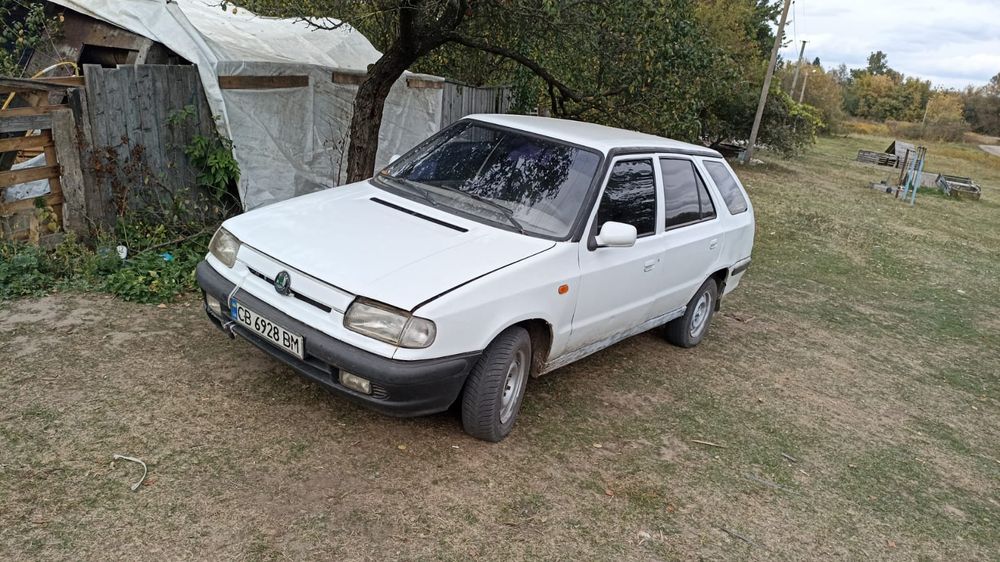 Шкода авто гарне