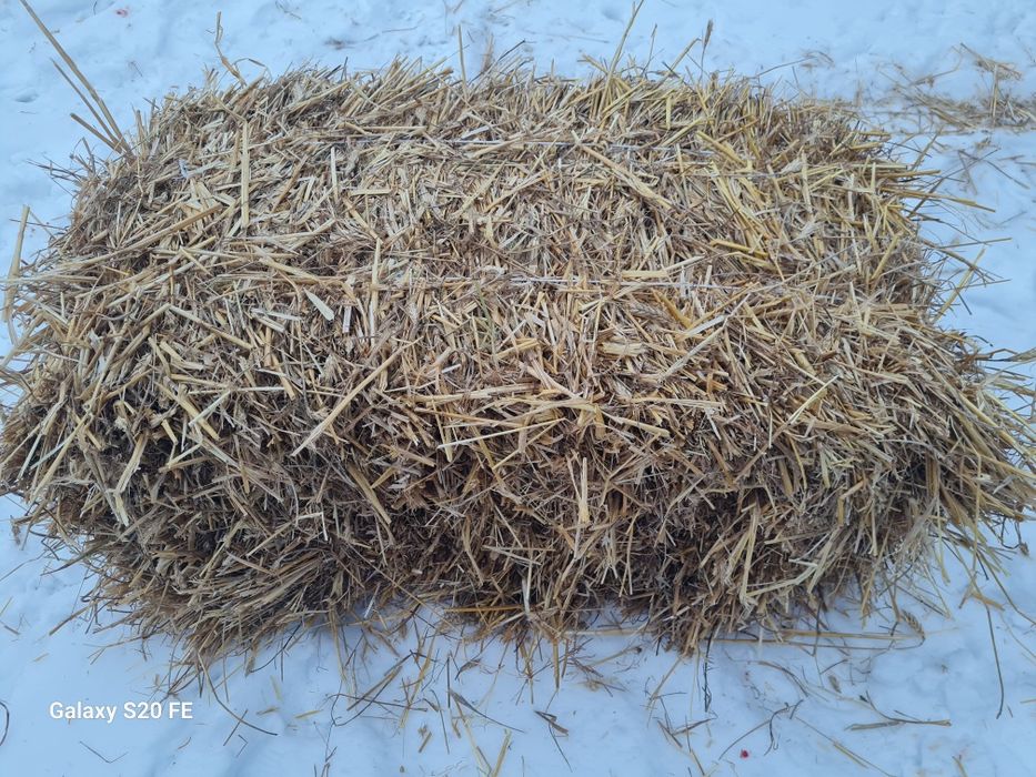 Słoma , kostki słomy sipma