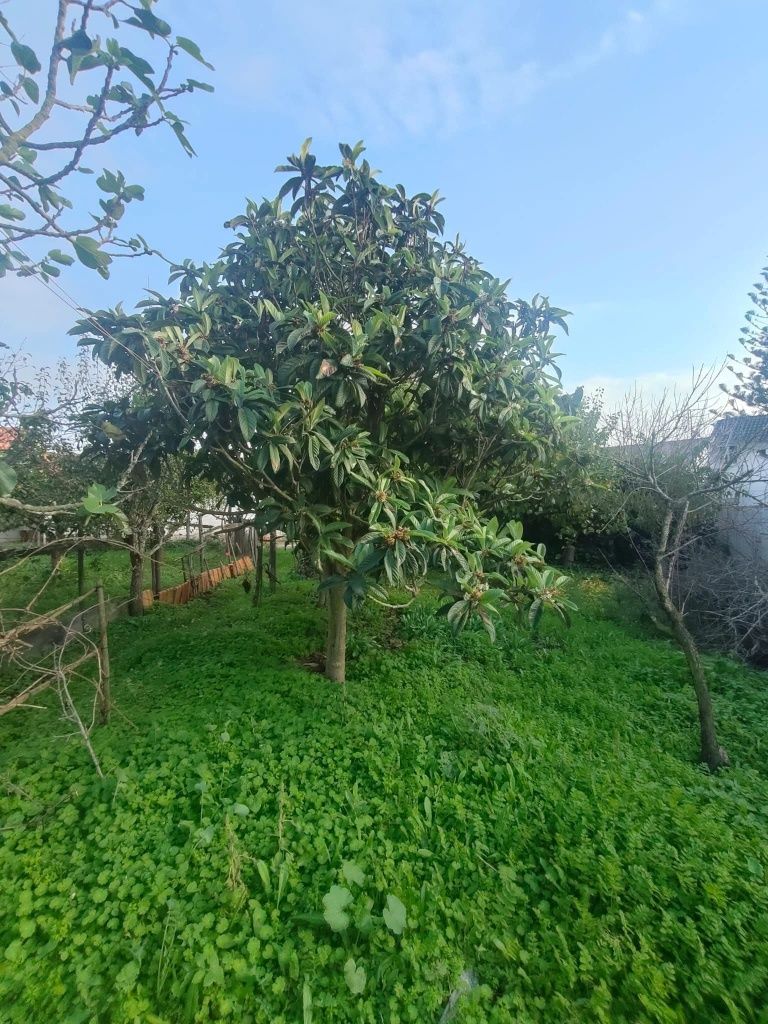 Moradia T3 Aveiras de cima