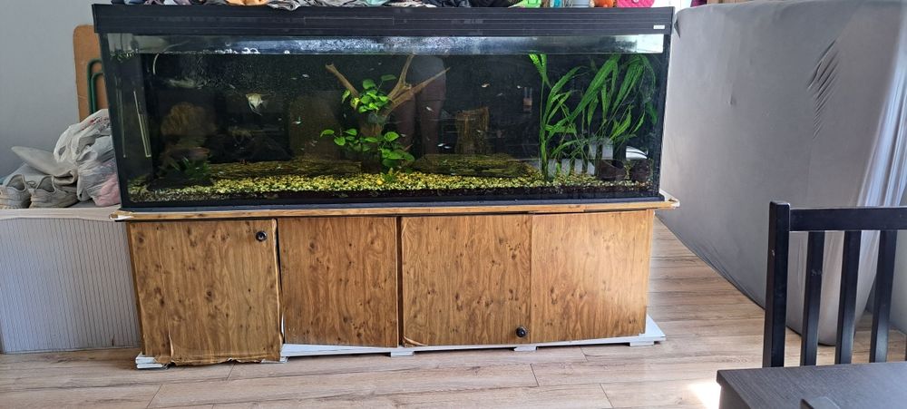 Pilnie sprzedam akwarium 845 litrów z pokrywą I szafka
