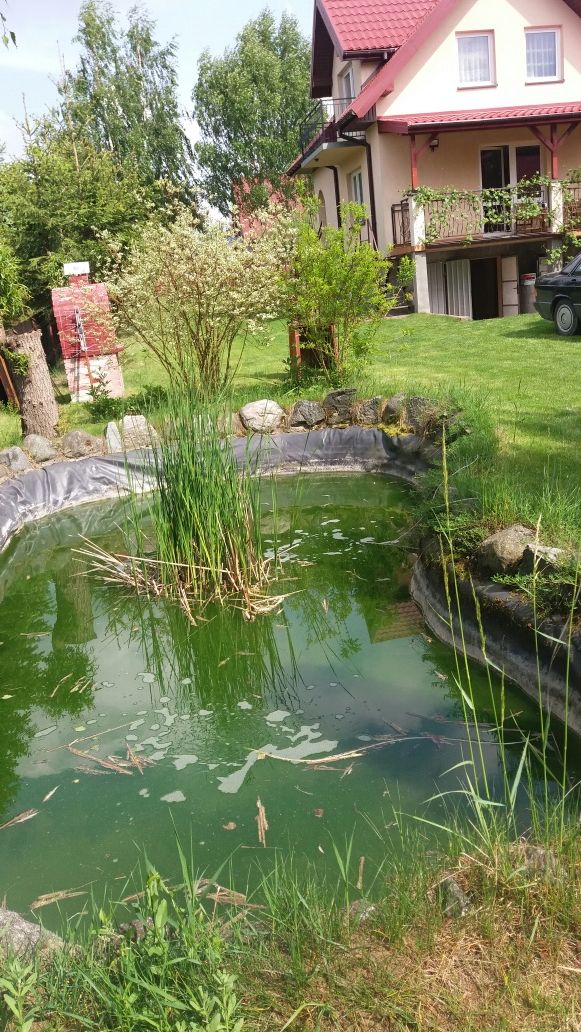 Domek letniskowy na Mazurach