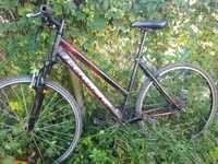 Rower Tecnobike cross damski 28"