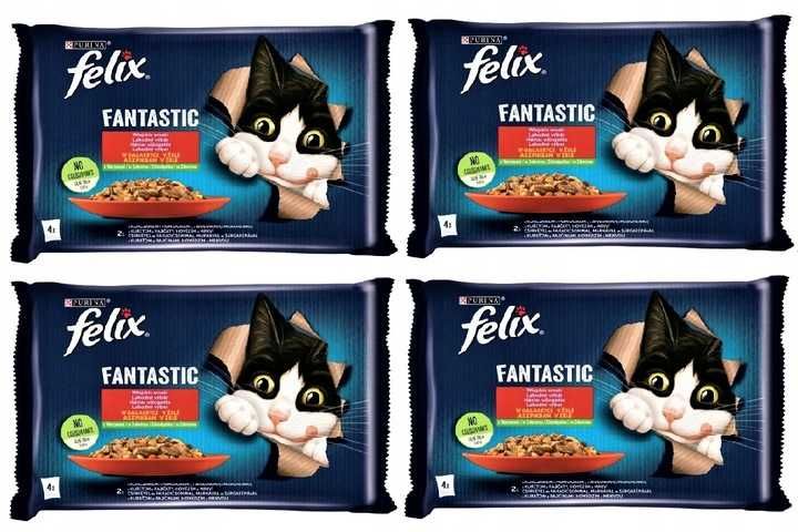 Mokra Karma PURINA FELIX FANTASTIC Wiejskie Smaki z Warzywami 16x 85g