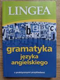 Lingea - Gramatyka języka angielskiego z praktycznymi przykładami