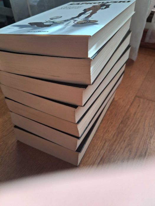 Wiedźmin, Sapkowski saga