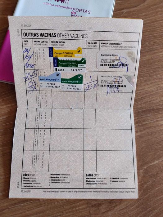 CADELA 09 MESES PARA ADOÇÃO