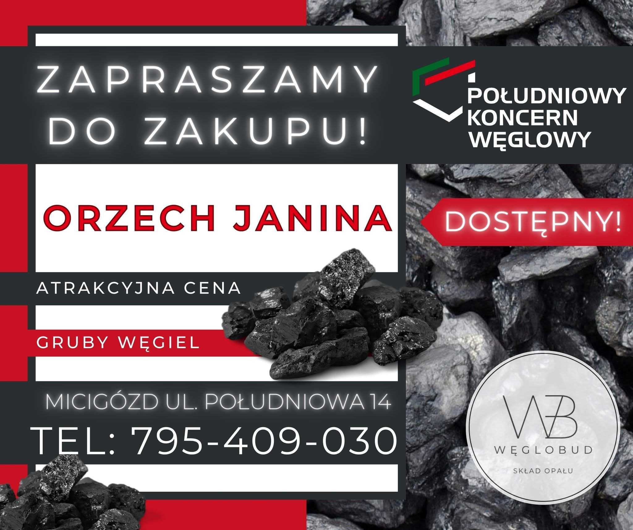 Węgiel Ekogroszek Dealer tylko HURT minimum 24 tony