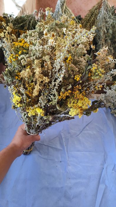 Віники для бані(лазні)+ Віники з лікарських трав (10 видів)