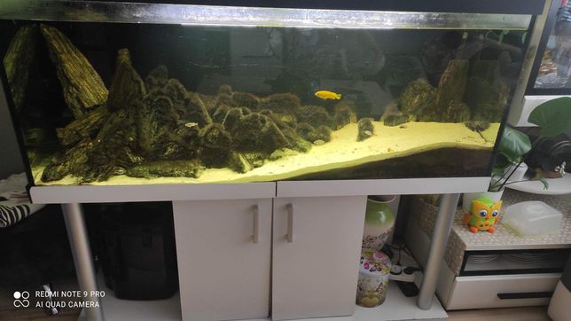 Duże Akwarium z wyposażeniem