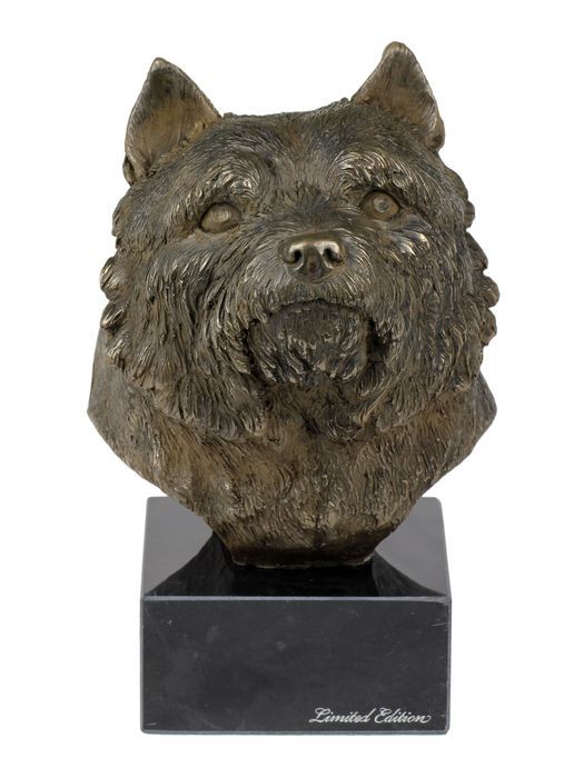Norwich Terrier głowa na kamieniu Art-Dog