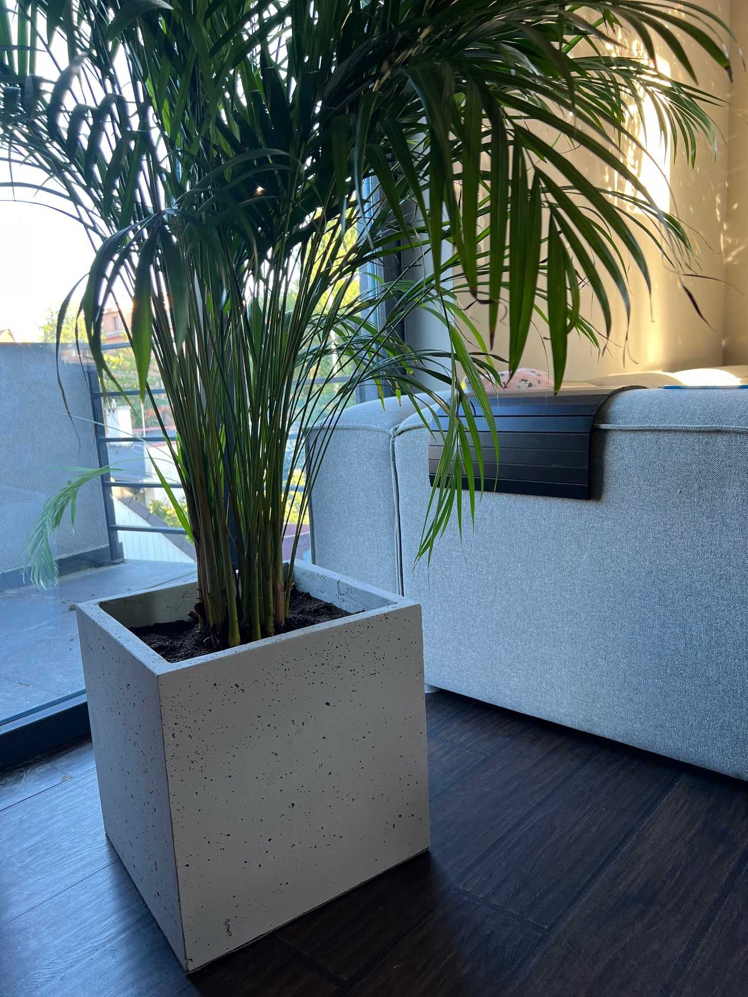 Donica betonowa 80x40x70h beton architektoniczny DARMOWA DOSTAWA