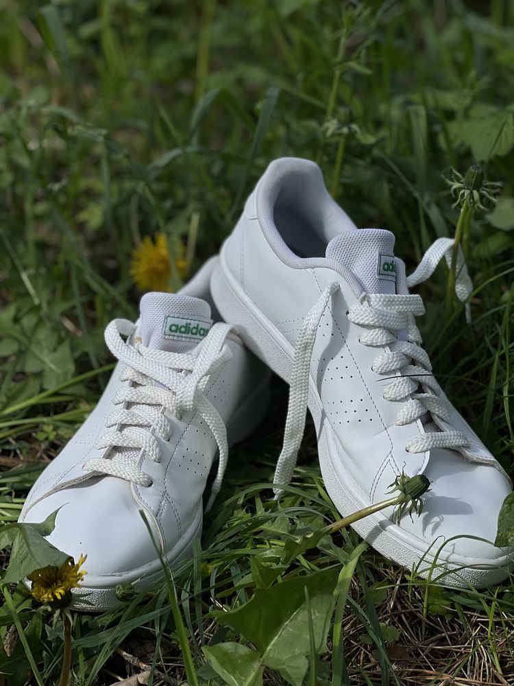 Кеди adidas advantage оригінал