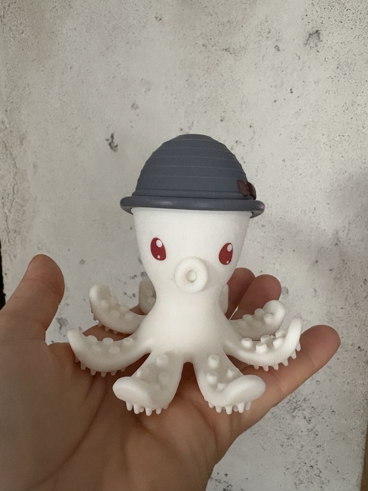 Ośmiornica gryzak mombella
