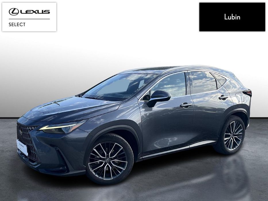 Lexus NX 350h Omotenashi AWD + Luxury