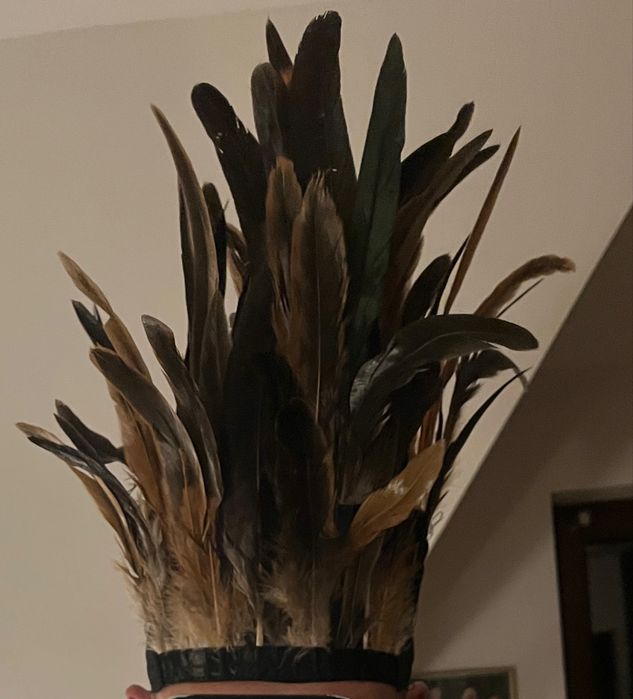 #PIUROPUSZ Indianin#Rózne Kolory#TOP#Karnawał#