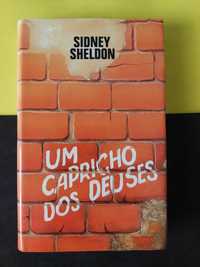 Sidney Sheldon - Um capricho dos deuses