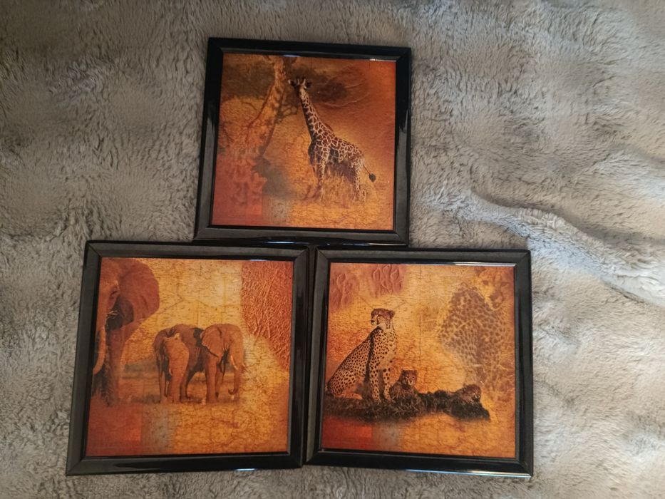3 obrazki safari słoń żyrafa retro vintage