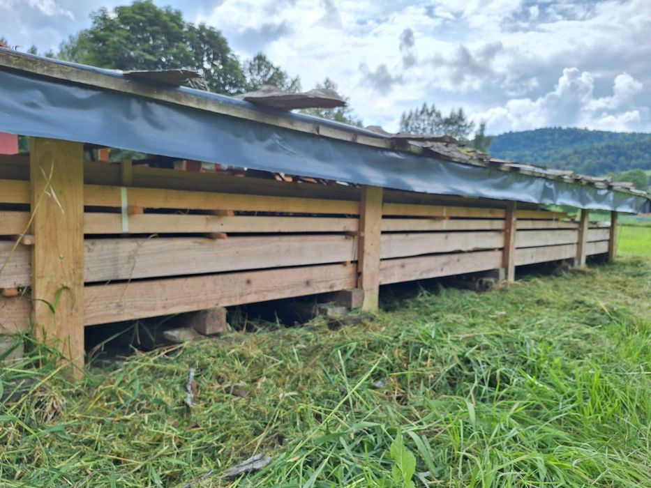 Drewno budowlane-konstrukcyjne suche - Jodła-krokwie, kantówki, deski