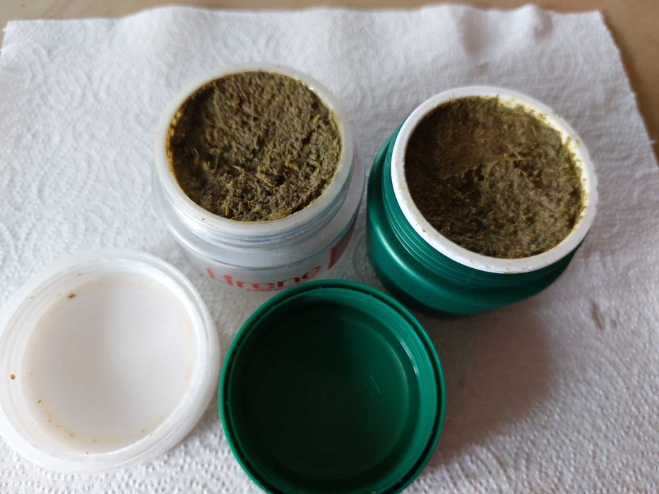 Maść z GLISTNIKA "jaskółcze ziele"