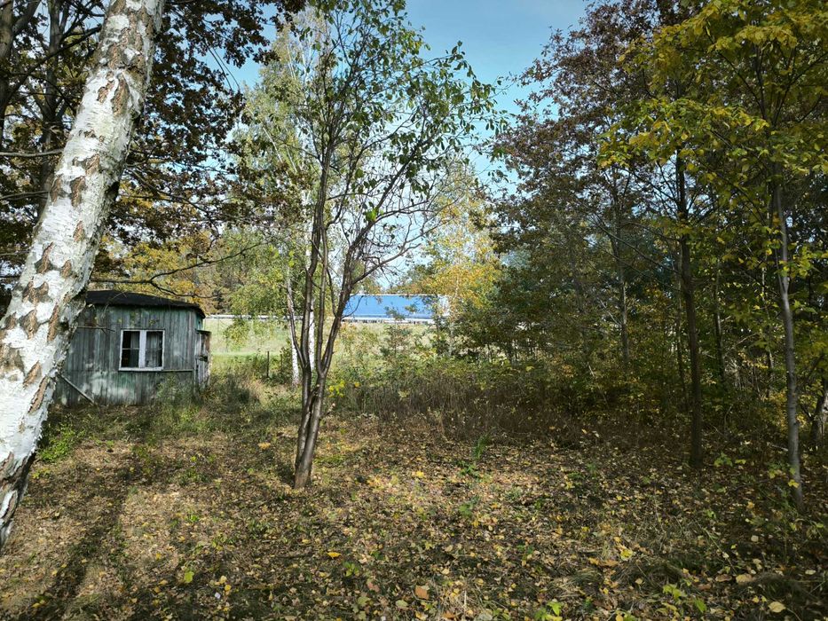 działka rekreacyjna z domkiem