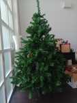 Árvore de Natal (OL)XXL