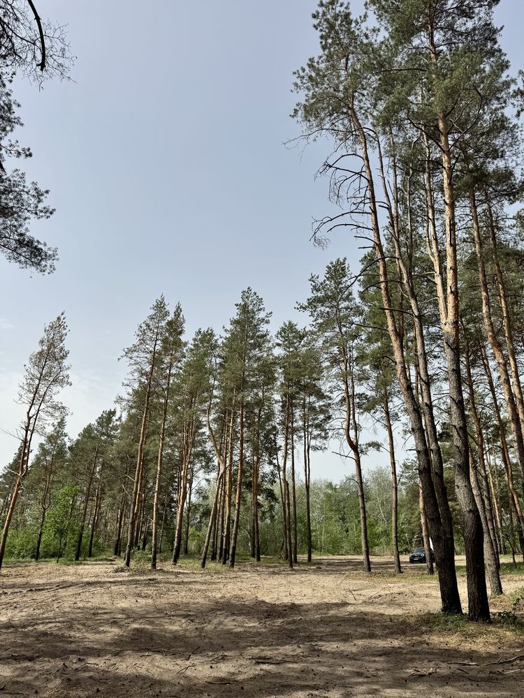Дом 105 м2 Песчанка. Новая улица, сосны на участке.
