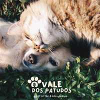 O vale dos Patudos - Pet sitting & Dog walking - Hotel p/gatos