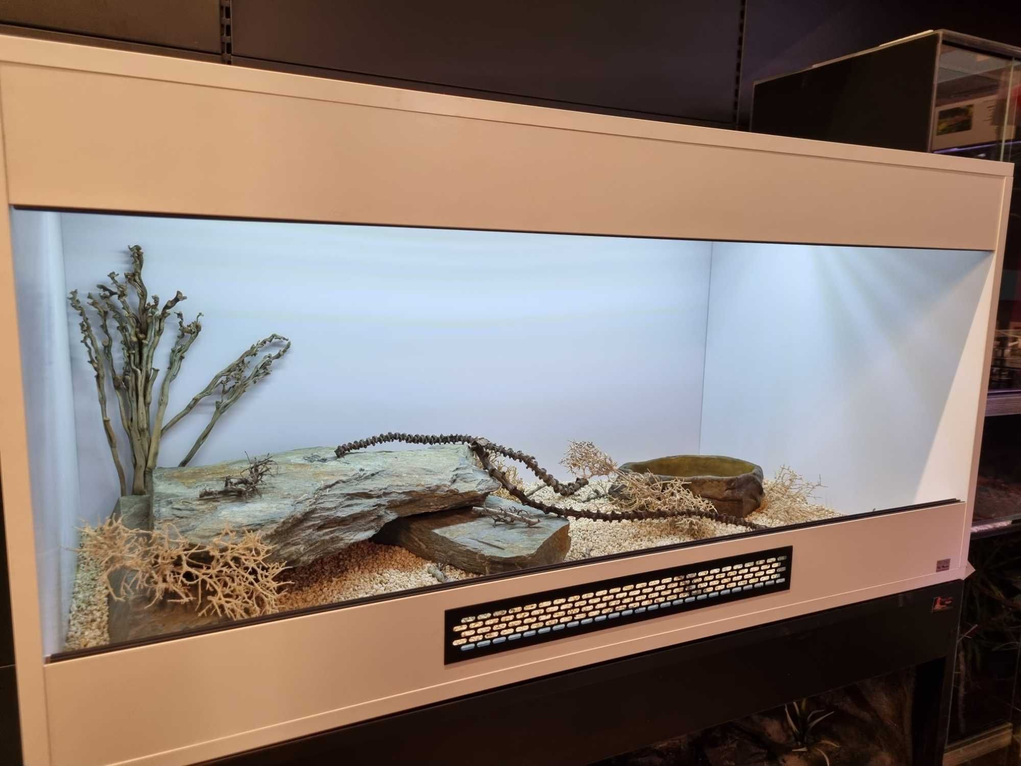 Terrarium 120x60x60 dla jaszczurki gekona agamy