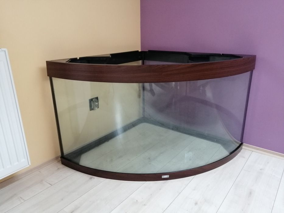 Akwarystyka akwarium